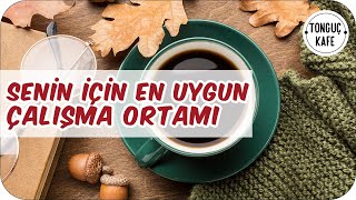 Ders Çalışırken Odaklanmanı ve Konsantrasyonunu Artıracak Müzikler  2 Pomodoro  Tonguç Kafe [upl. by Monahan390]