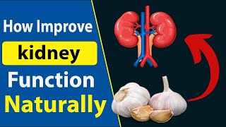 Improve Kidney Function Naturally Diet and Lifestyle Tip [upl. by Rutger]