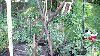 How to Make InexpensiveFree Trellises for Your Vegetable Garden Basic Materials Tools amp Designs [upl. by Roseline]