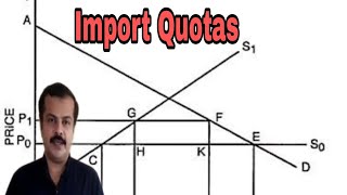 Import Quotas  Effects of an Import Quota [upl. by Enelec]