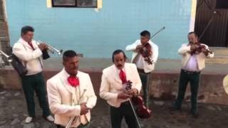 Mariachi Hermanos Topete [upl. by Kerwinn]