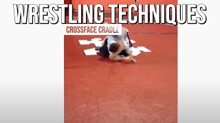 WRESTLING TECHNIQUES  TOP  Crossface to Knee Scoop Cradle [upl. by Cherilynn]