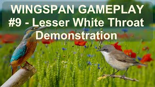 Wingspan Gameplay 9  How to Play Against Pileated Wood Duck [upl. by Lekar261]