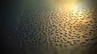 Time lapse dew evaporation [upl. by Fattal666]