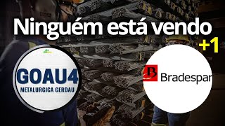 TOP 3 AÇÕES PARA 2024 com ALTOS DIVIDENDOS BRAP4 BBAS3 GOAU4 Metalúrgica Gerdau [upl. by Ketchum]