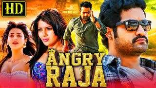 Angry Raja HD Romantic Hindi Dubbed Movie  Jr NTR Samantha Shruti Haasan [upl. by Brigid]