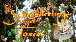 Die Monarchschmetterlinge und die Silberstadt Taxco bei Mexiko City [upl. by Deyas]