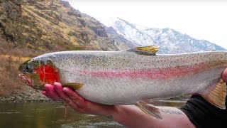 EPIC Steelhead amp TROUT Fishing The DEEPEST CANYON In North AMERICA [upl. by Doty847]