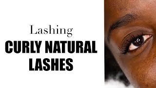 How to Apply Lash Extensions to Curly Lashes [upl. by Dnalevets]