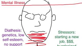 PTSD Diathesis Stress Model [upl. by Karla]