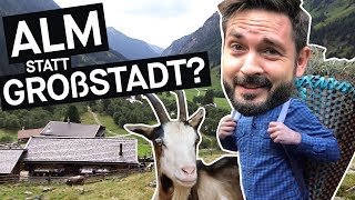 Selbstversuch Alm statt Großstadt – wie ist das wirklich  PULS Reportage [upl. by Cirred471]