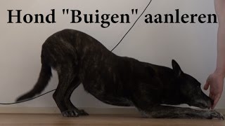 Dog School Hond leren buigen [upl. by Icart]