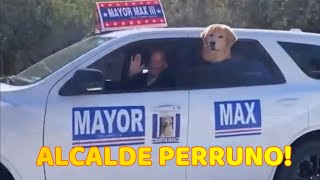 El Alcalde de este Pueblo es un PERRO [upl. by Scrivenor]