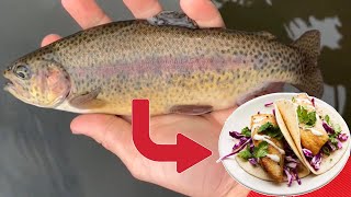 MOUNTIN TROUT CATCH AND COOK PuddingstoneFrank G Bonelli [upl. by Epps]