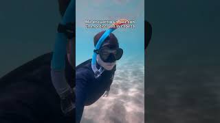 😱animales peces pesca oceano mar buceo snorkeling naturaleza playa [upl. by Erleena]