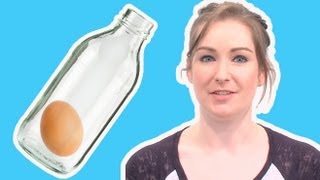 How to get an egg inside a bottle  Live Experiments Ep 28  Head Squeeze [upl. by Asyram]