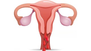 Menstrual Cycle  4 Phases [upl. by Aehsa]