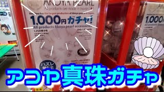 特別編【真珠ガチャ】ずっと探していたので感動😢Capsule toy캡슐 토이 [upl. by Radec72]