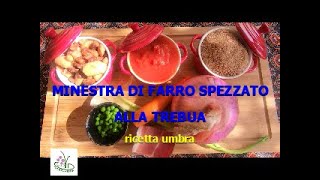 minestra di farro spezzato alla trebua [upl. by Bakerman921]