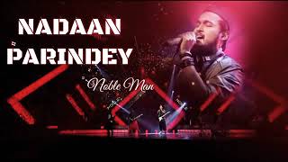 NADAAN PARINDEY  Noble song  Noble star [upl. by Doowrehs]