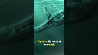 Top 3 Facts about Plesiosaurus history facts [upl. by Jesse]