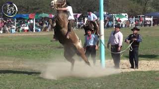 Broche de oro en Clina 10º Festival Familia Kling en Sauce Viejo Agosto 23 Santa Fe [upl. by Thielen831]