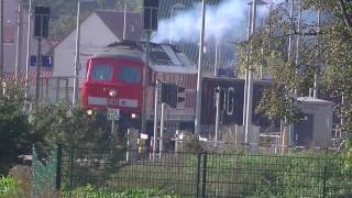 BR 233 6360 Ludmilla und schwere abfahrt mit lange Güterzug in einer Wolke von Abgas HD [upl. by Lleznod]