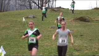 Crosslauf Geissholz 2017 Laufgruppe Willigen [upl. by Kudva]