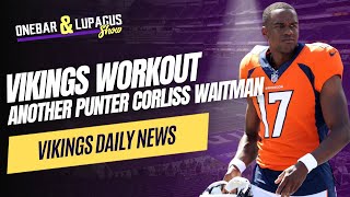 Vikings Workout Another Punter Corliss Waitman [upl. by Reviere782]