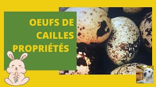 Bienfaits et propriétés des oeufs de cailles 29 [upl. by Anikat]