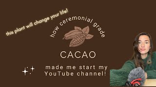 How Ceremonial Grade CACAO changed my life  What is ceremonial cacao [upl. by Avonasac]