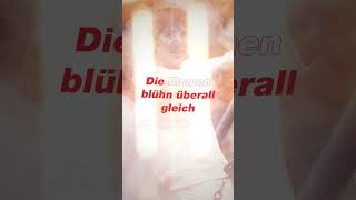 Udo Jürgens  Das neue Album Die Blumen blühn überall gleich [upl. by Iddet889]