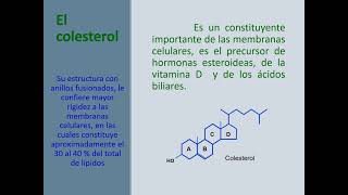 Metabolismo del colesterol [upl. by Aivuy]