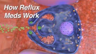 How do Reflux Medications Work Proton Pump Inhibitors H2 Blockers Alginates [upl. by Aihsyla]