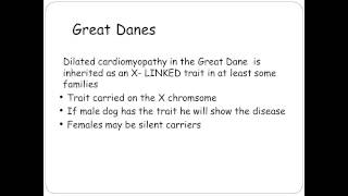 Inherited Cardiomyopathies  Understanding Unique Clinical and Genetics Aspects for Your Breed [upl. by Myo]