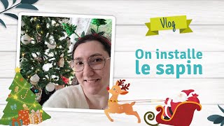 Vlog On installe le sapin ensemble  HAUL Noël Action actionfrance1 [upl. by Kosse339]