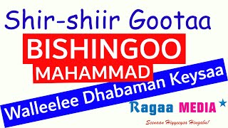 Shirshiir gootaa  Bishingoo Mahammad  Walleelee Afaan Oromoo Kanneen Dhabaman Keeysaa ragaamedia [upl. by Lynnet]