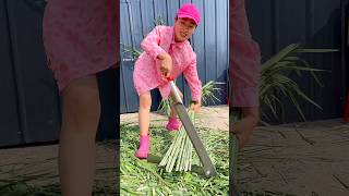 Very Useful Tool for Rural Farmer  Amazing Grass Cutting Tool shorts youtubeshorts tools [upl. by Danell102]