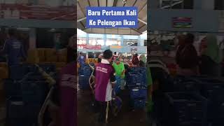 Tempat Pelelangan Ikan Di Pekalonganpekalonganhits pekalonganinfo [upl. by Greabe]