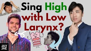 Low larynx Secret to Singing High Notes Personal Experiment footage Revealed [upl. by Nnahteb56]