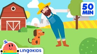 BINGO THE DOG 🐶 More Popular Songs for Kids  Lingokids [upl. by Braeunig908]