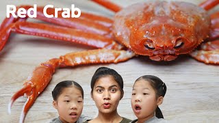 살이 꽉찬 홍게 Red Crab TwinRoozi Family Mukbang 쌍둥이루지 가족 먹방 [upl. by Joan]