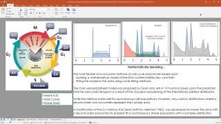 DNA Cell Cycle Analysis [upl. by Alvy]