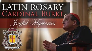 Pray the Rosary in Latin with Cardinal Burke Joyful Mysteries [upl. by Ober]