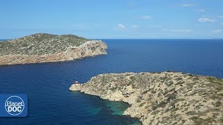 Cabrera Sea Bottom  Balearic Islands  Part 1 [upl. by Nylodnarb6]