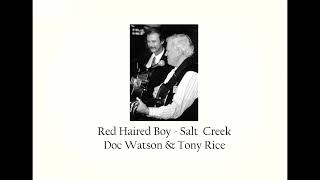 Red Haired Boy  Salt Creek  Doc Watson amp Tony Rice [upl. by Cortie]