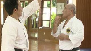 Shorinryu Seibukan History of karate Part 2 33 [upl. by Irik]