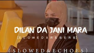 Dilan Da Jani WaySlowedReverb  Shafaullah Khan Rokhari Song  Slowed Echoes [upl. by Orelie]