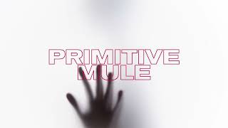 Primitive Mule  DOOMBO [upl. by Anneuq]