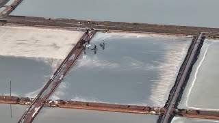 Salt harvest in N China [upl. by Yelsa]